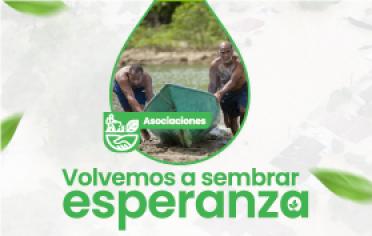 Asociaciones 