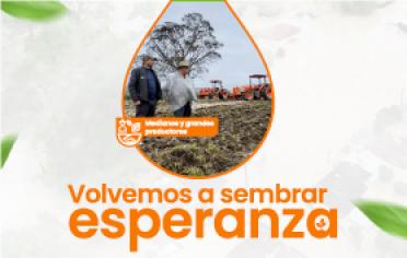 Línea de Redescuento Especial para el Restablecimiento Productivo de Medianos y Grandes Productores