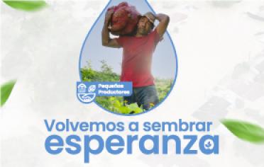Pequeños productores 