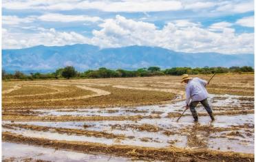 Día del Campesino 