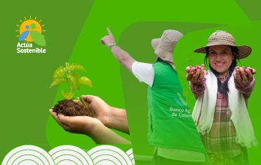 Gestion Ambiental
