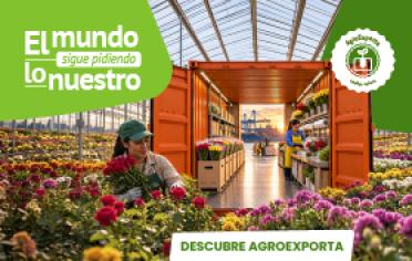 Agroexporta 